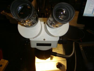 Scienscope stereo microscope + stand 