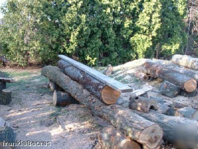 Chain saw chainsaw~sawmill saw mill fits stihl & others