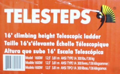 Telesteps 12.5 ft 300-pound duty rating aluminum ladder