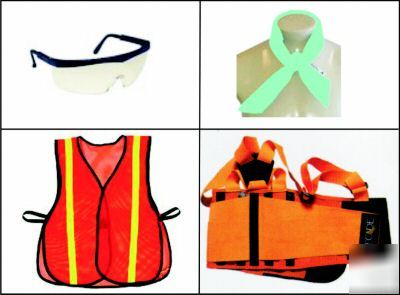 Safety vest & orange back support + glasses & bandana