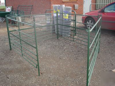 6FT painted sheep hurdles 