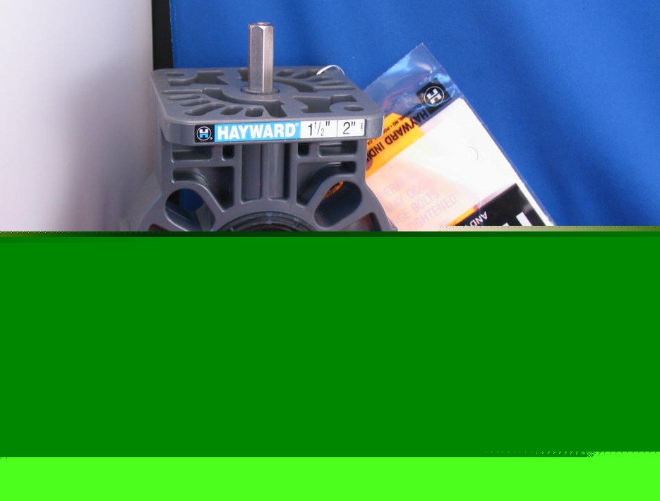 BY110200EL hayward pvc butterfly valve 2