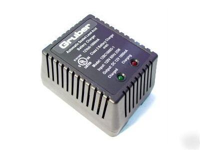 Stationary generator battery charger tender