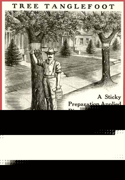 Rare 1910 ad for o.e. thum's 
