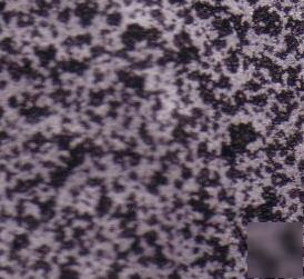 Silver vein non-stick powder coating