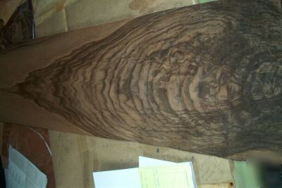 Walnut crotch veneer 43SQF [1552]