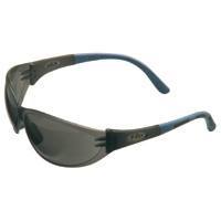 Msa safety works safety glasses smoke lens 10038846